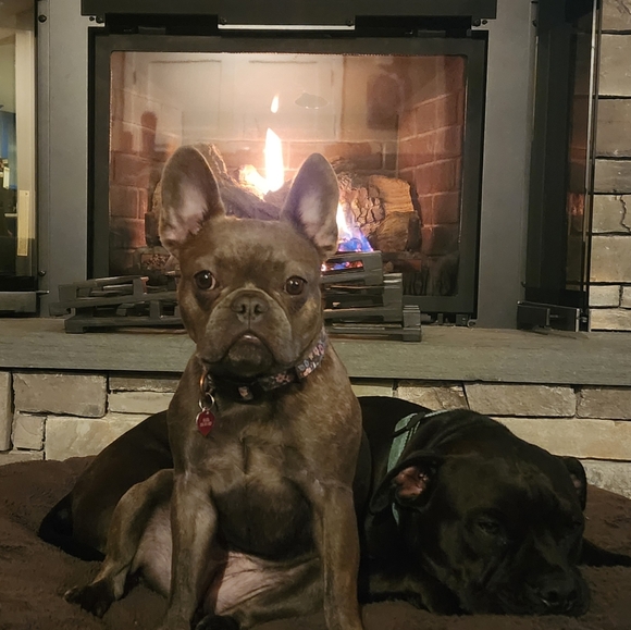 Meet your Posher, Jenni - Picture 4 of 4